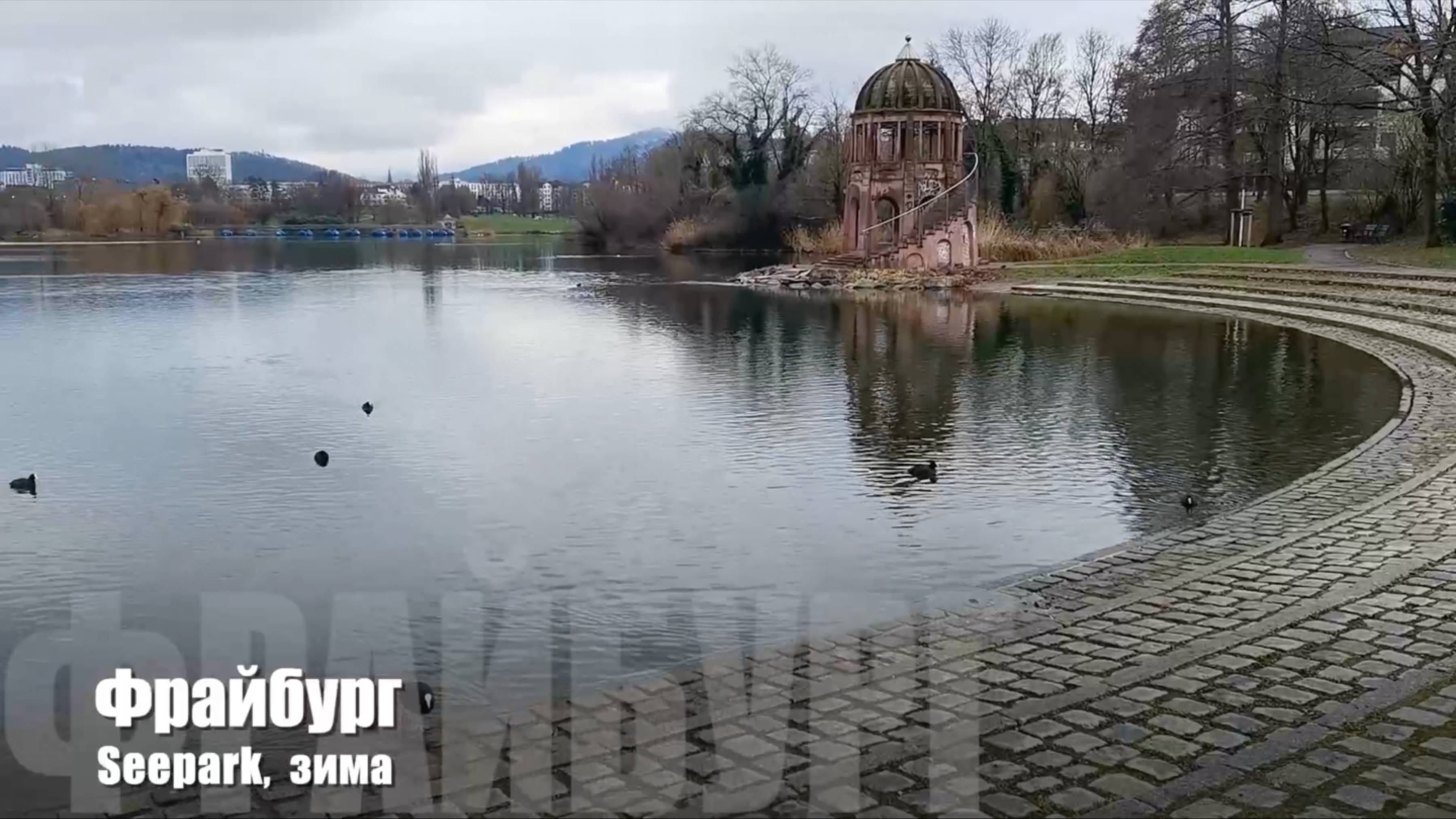 Фрайбург. Зеепарк, зима. Freiburg, Seepark.