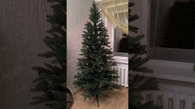 Елка в Коломне 2024- 2025.