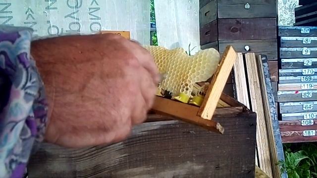 изолирую маточники во время грозы,  под навесом.