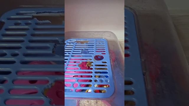 Моя вкуняшка.mp4