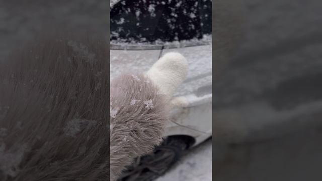 ❄️ Заснеженный Ульяновск #ульяновск