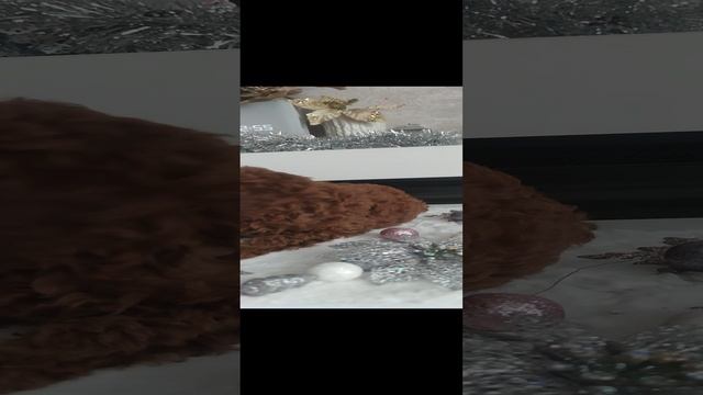 VID_20241222_125509
