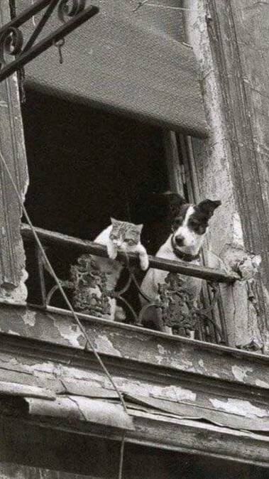 3_большое счастье