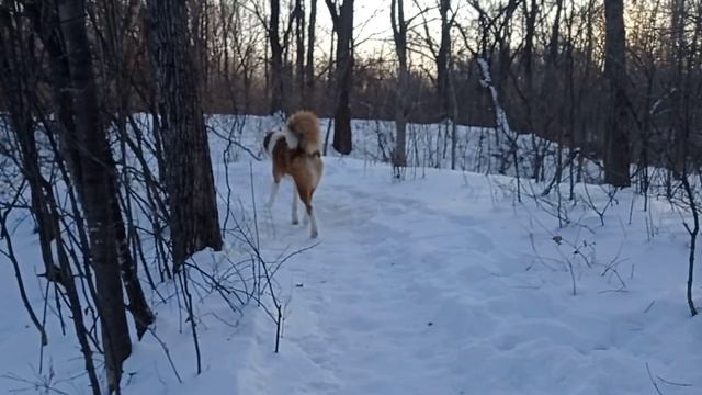 Прощальный Ютуб)