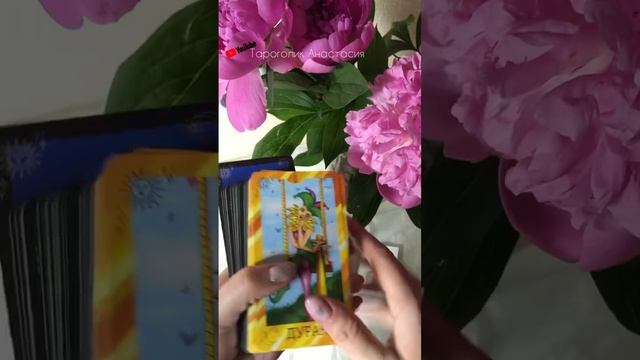 КОЛОДА ТАРО за 200₽ таро для новичков #обзортаро #таро #моиколодытаро