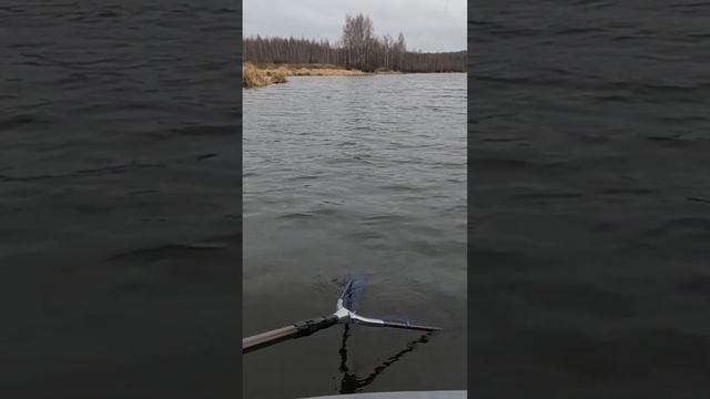 Наконец она клюнула!