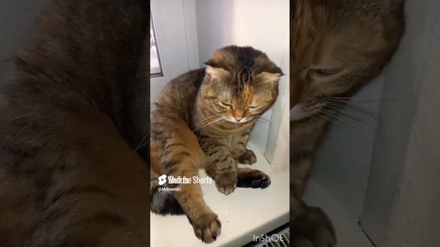 для полного счастья.mp4