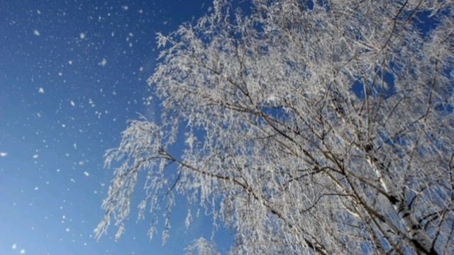 Встреча осени с зимой