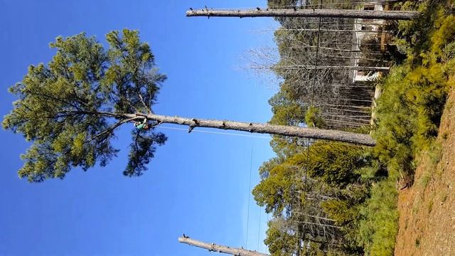ДАЖЕ НЕ ПОМНЮ КОГДА ЭТО ВИДЕО ЗАПИСЫВАЛ // ТАК ВЫГЛЯДЕЛ НАШ ДВОР РАНЬШЕ ЛЕТ 9 НАЗАД // США