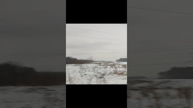 Поля снега