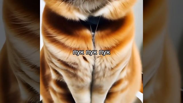 ПУК ПУК ПУК ЭТО Я ПОЮ