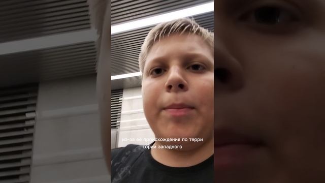 8А линия метро информации и какие поезда ходят