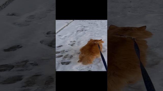 22-12-2024