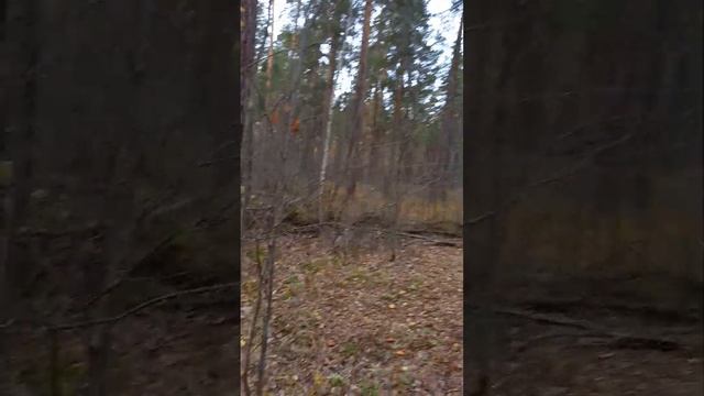 14 октября 2022 г.