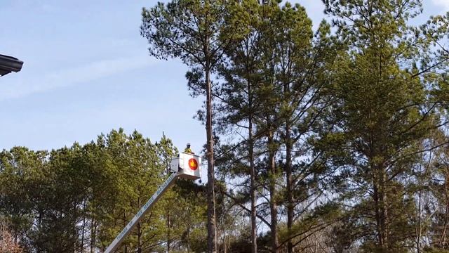 НАШЁЛ ВИДЕО НА ТЕЛЕФОНЕ ЛЕТ 7 НАЗАД У НАС ПИЛЯТ ДЕРЕВЬЯ // США .