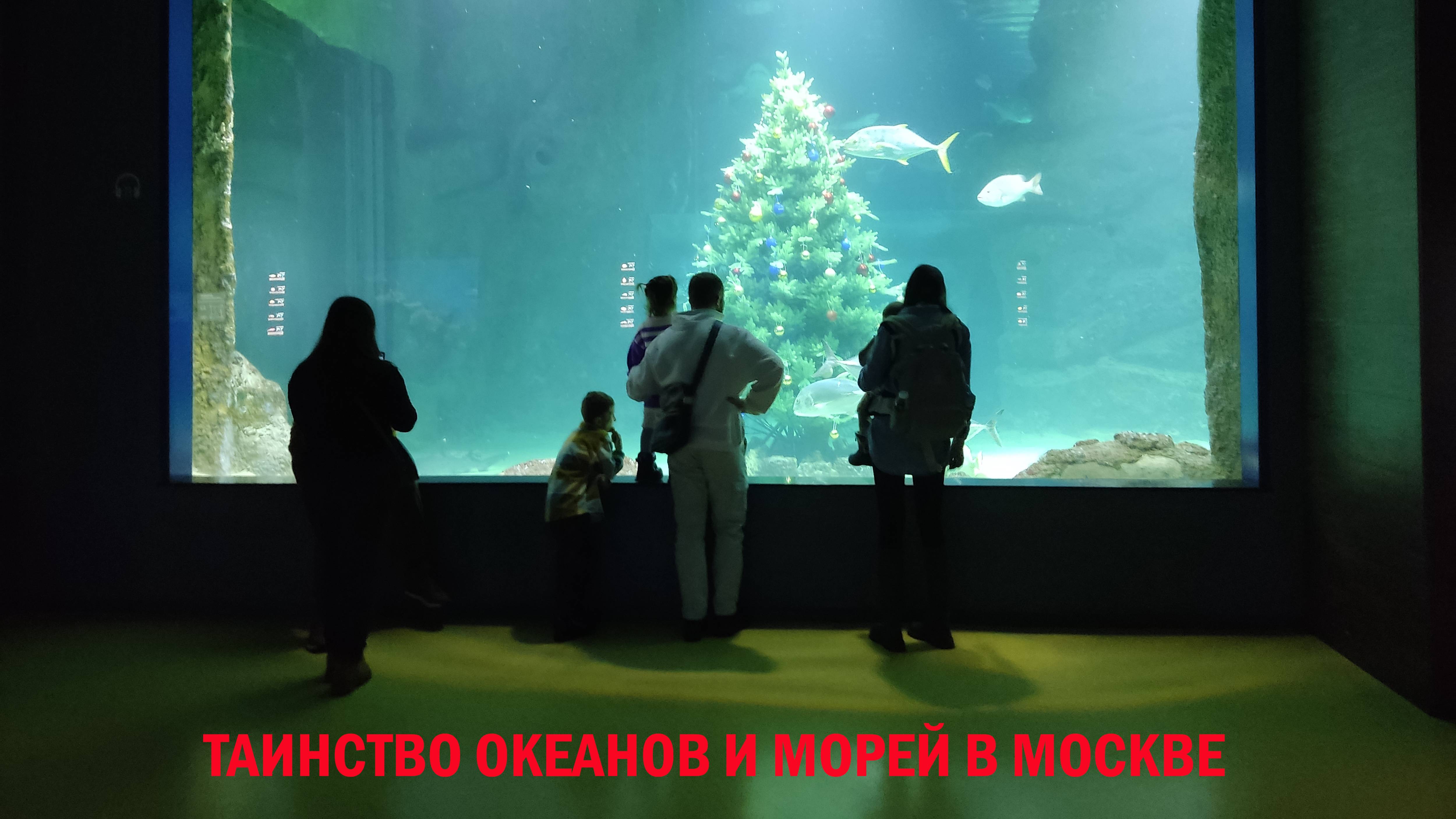 Таинство морей и океанов в Москве