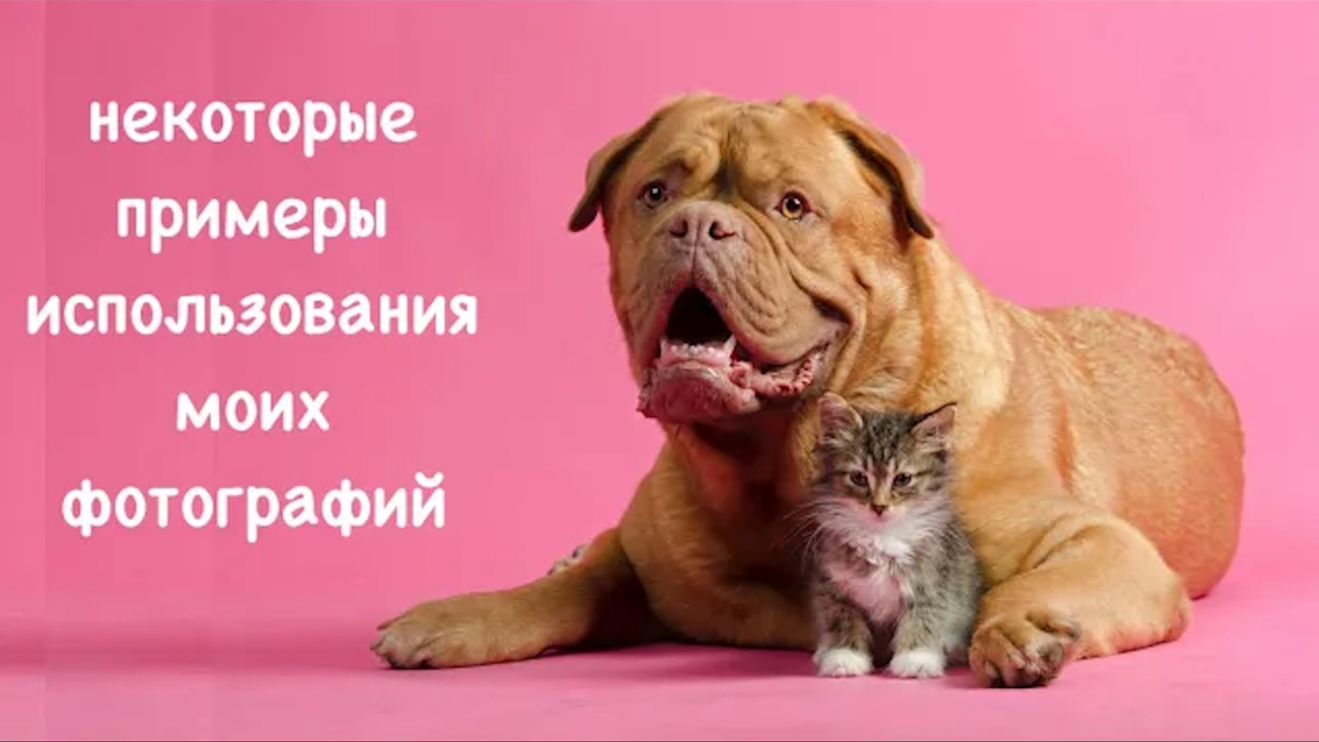 Некоторые примеры публикаций некоторых моих фото работ.