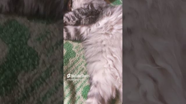 Кузьма