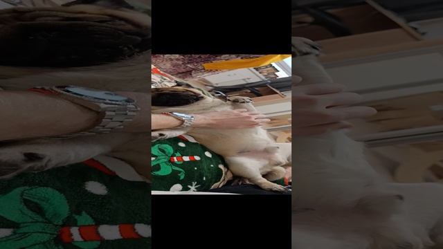 Герцог кайфует