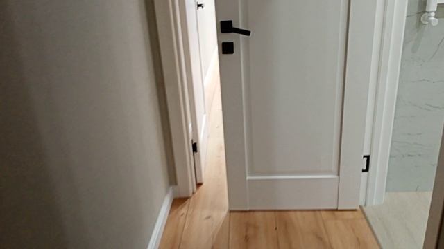 VID20241113162403.mp4