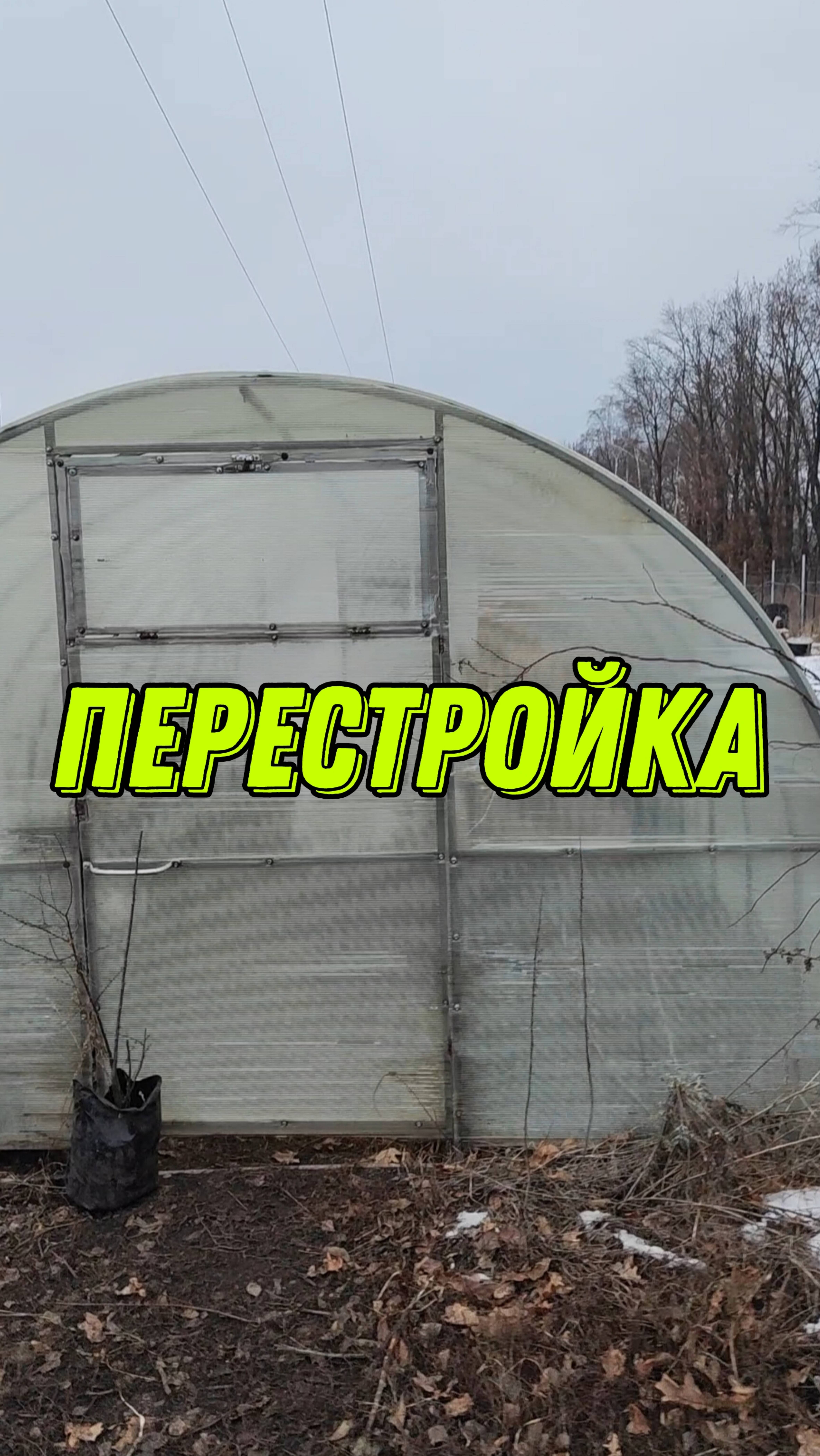 Хотим объединить маленькие теплицы, что бы в них черенковать туи
