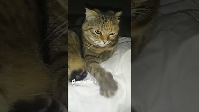 для более скромных девочек.mp4