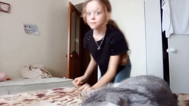 Когда случайно разбудила коржика