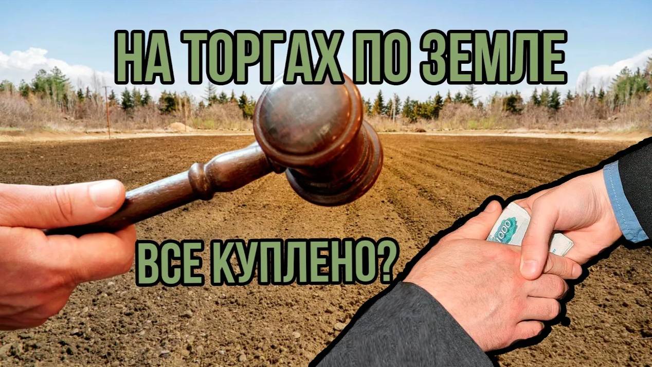 Все ли куплено (попилено) на земельных торгах и аукционах