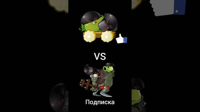 кто победит?