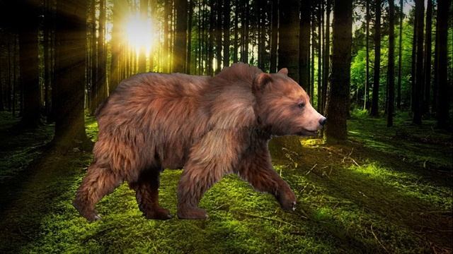 Сказка о трёх братьях 2 серия