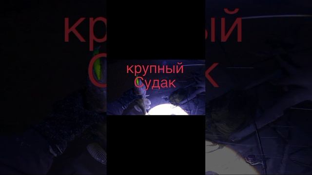 scene_output.mp4