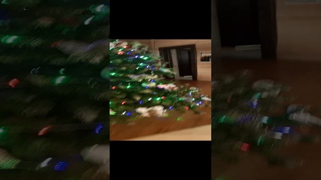 1000009638.mp4