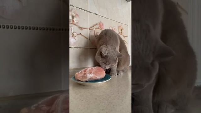 Глаза говорят ‘хочу’, а опыт подсказывает ‘не стоит’🤪