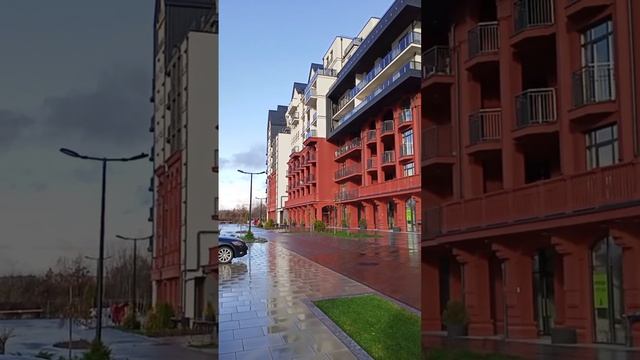 VID_20241123_152132_092.mp4
