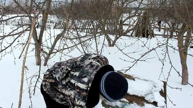 Пчелы зимой в д. Асошники