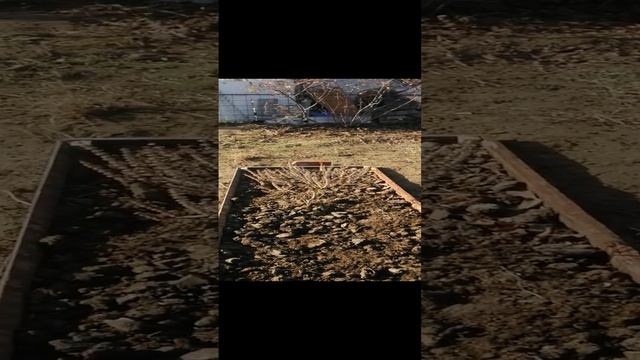 2024-11-17 12-04-06.MP4