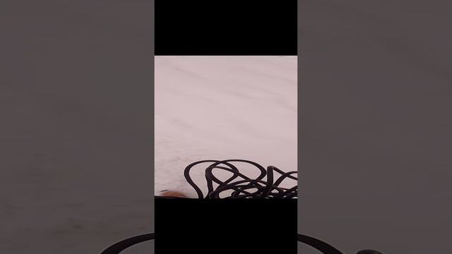 1000023054.mp4