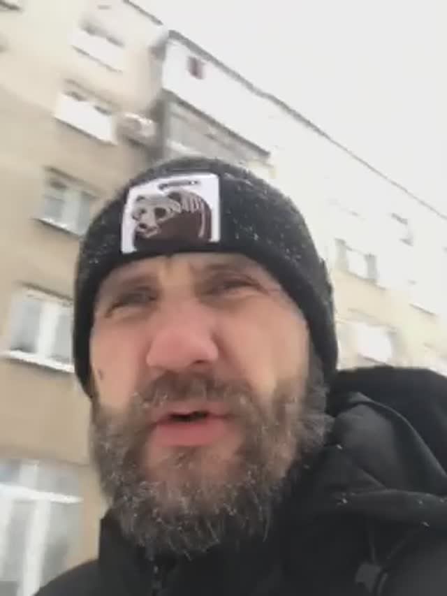 Противная погода, сугробы, собаки кусаки