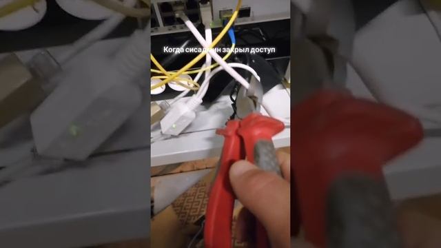 1000012913.mp4