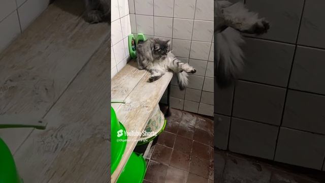 Кузьма