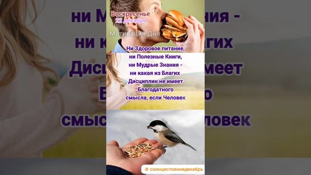 Воскресенье • 22 декабря
Мотивация Дня 
ЭкстрасенС Алексей Надажить