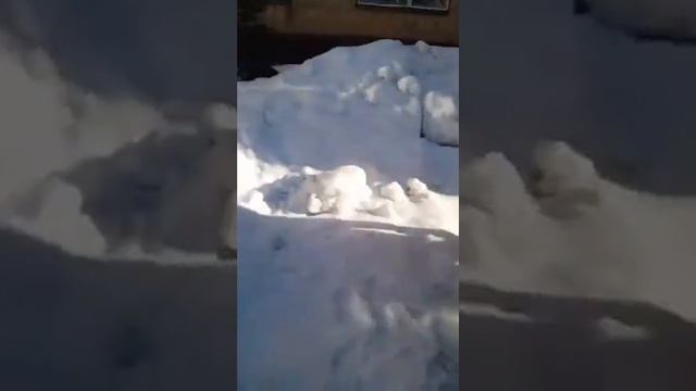 Двухконтурное зажигание нива