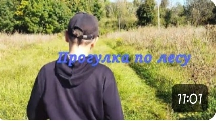 Прогулка по лесу