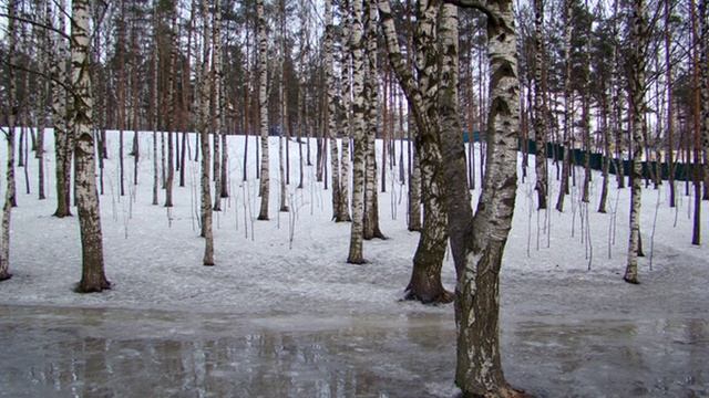 Мошенник и продвинутая бабуля