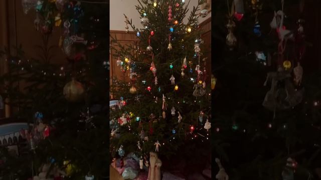 Ель живая новогодняя