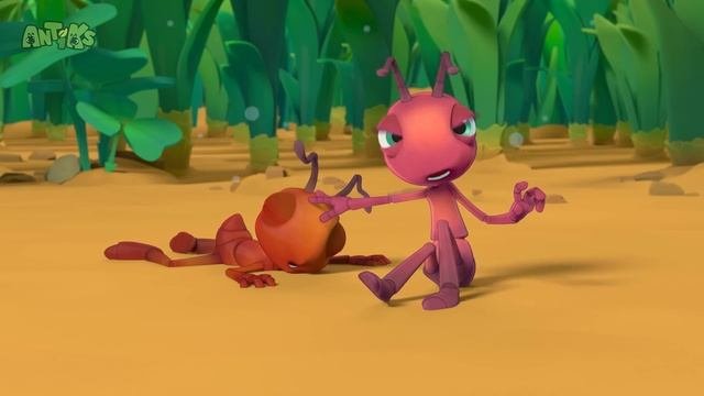 Wrestle Maniacs  ANTIKS  Moonbug Kids - Funny Cartoons and Animation