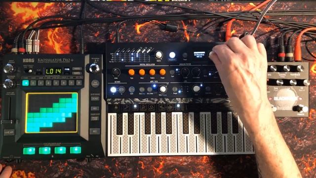 Korg Kaossilator Pro+ & Arturia MicroFreak Live Looping Tutorial