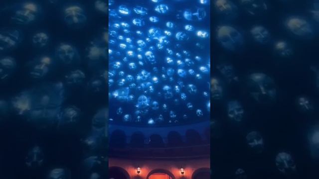 1000018632.mp4