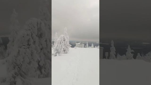 VID-20241222-WA0018.mp4