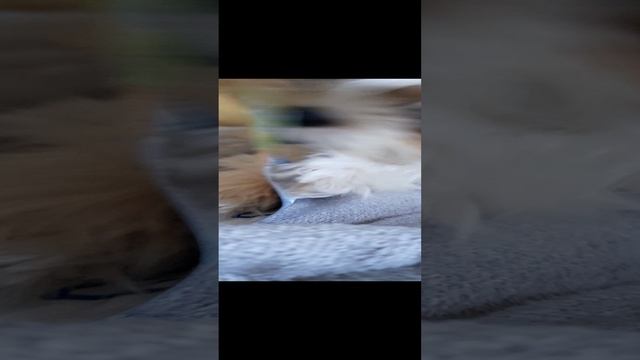 79201.mp4